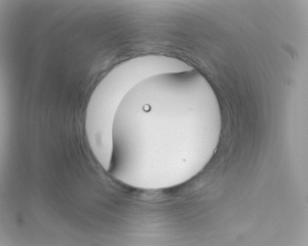 X0000115500720200911271410