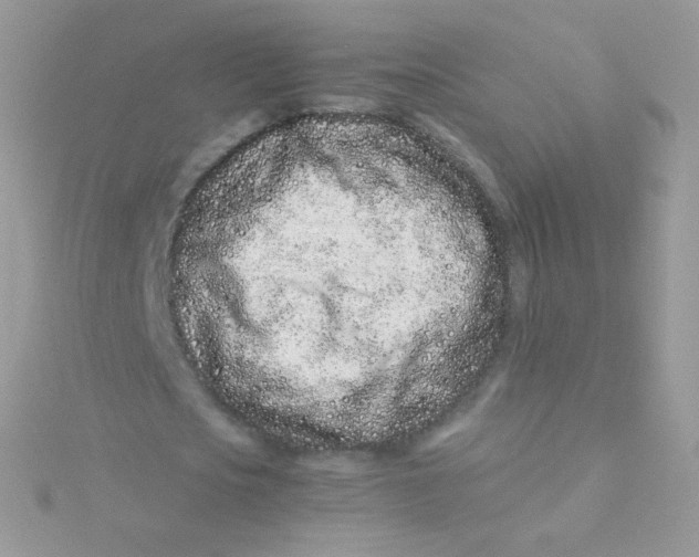 X0000115500721200911271409