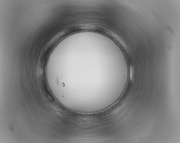 X0000115500723200911271409