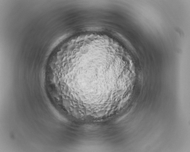 X0000115500725200911271409