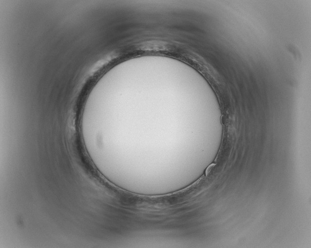 X0000115500727200911271409