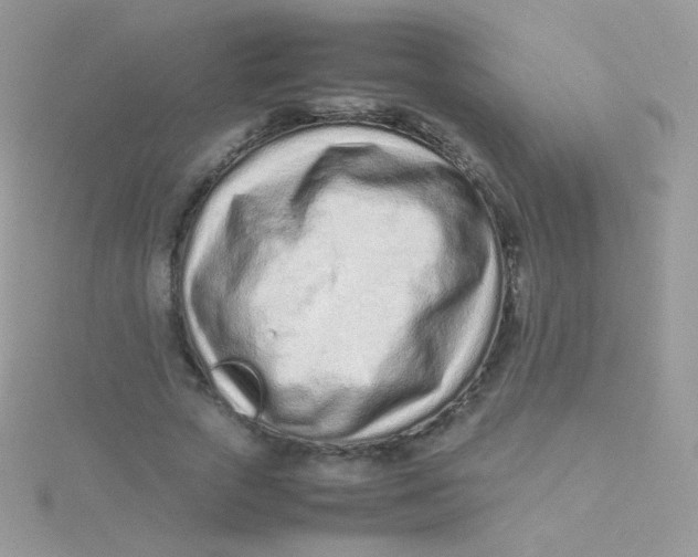 X0000115500729200911271409