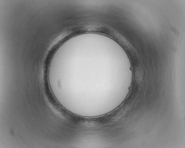 X0000115500730200911271409