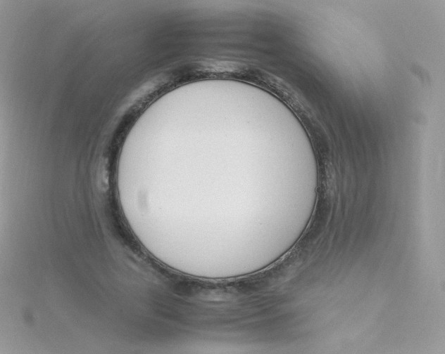 X0000115500731200911271409