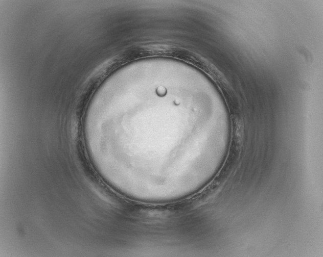 X0000115500733200911271409