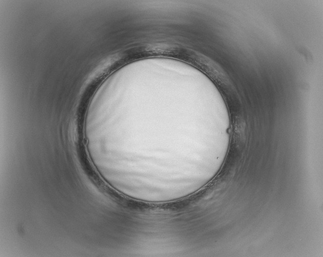 X0000115500734200911271409