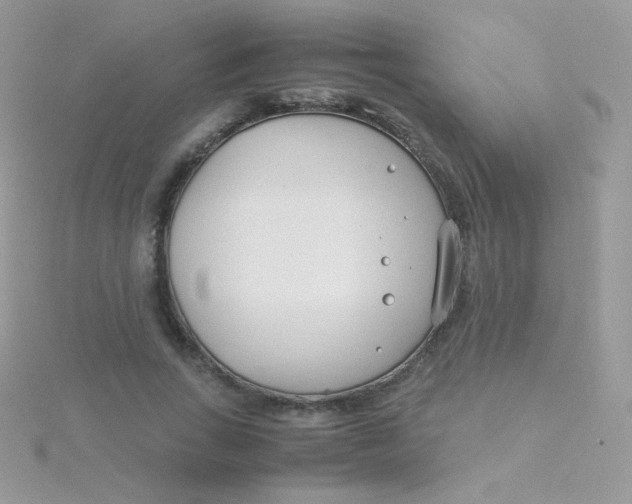 X0000115500735200911271409