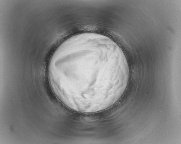 X0000115500739200911271410