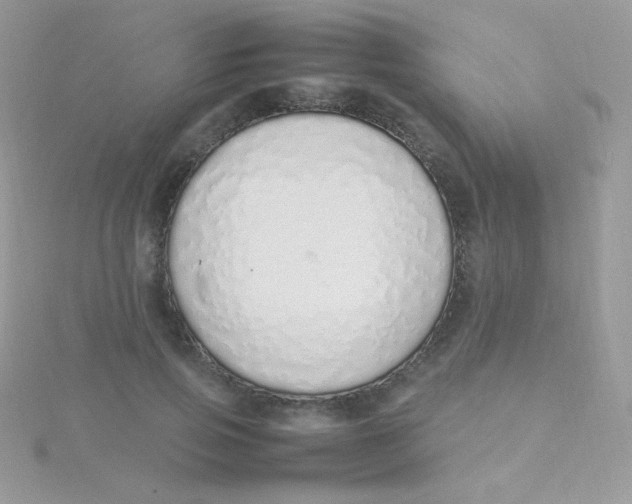 X0000115500741200911271410