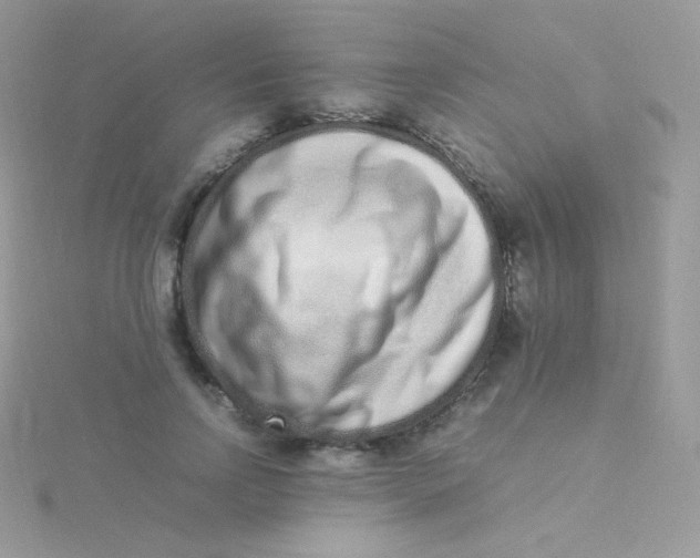 X0000115500742200911271410