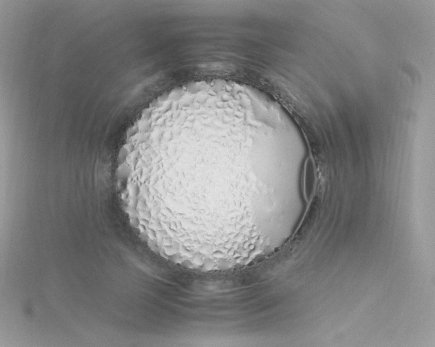 X0000115500745200911271410