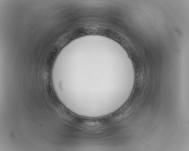 X0000115500749200911271410