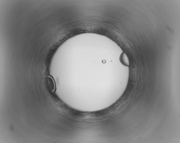 X0000115500750200911271410