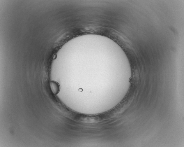 X0000115500751200911271410