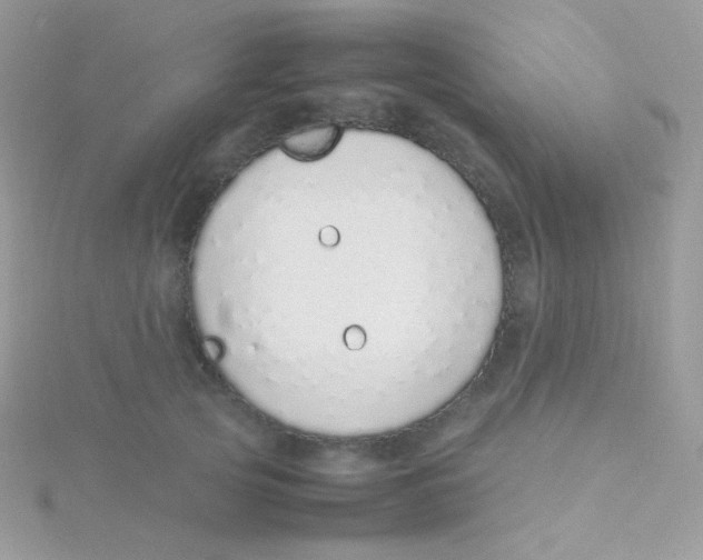 X0000115500753200911271410