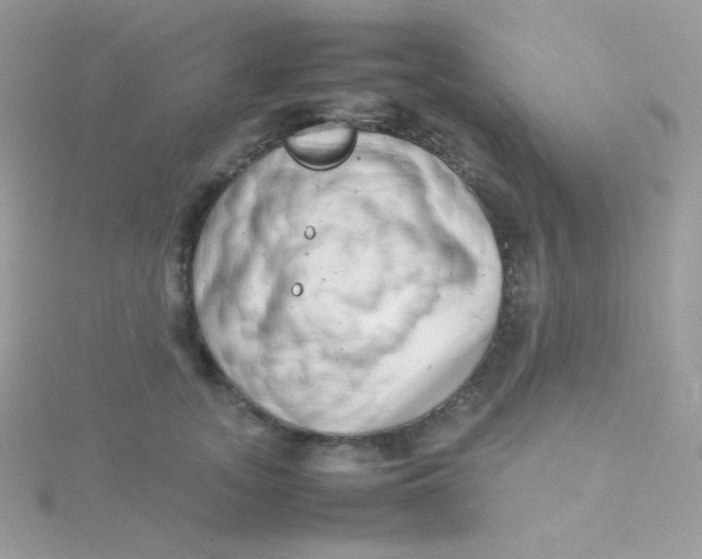 X0000115500755200911271410