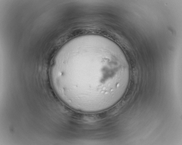 X0000115500757200911271410