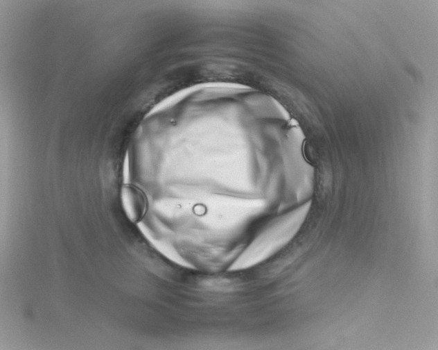 X0000115500759200911271410