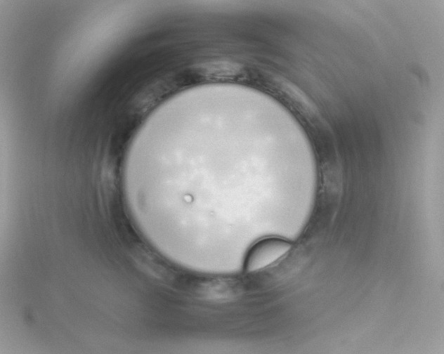 X0000115500761200911271410