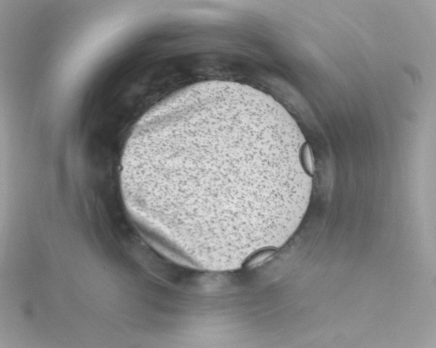 X0000115500762200911271410