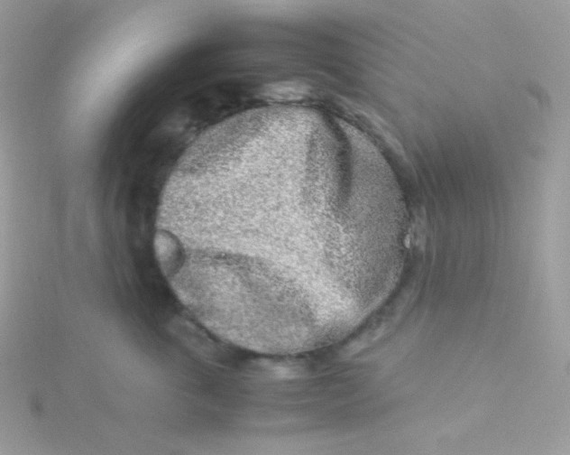 X0000115500763200911271410