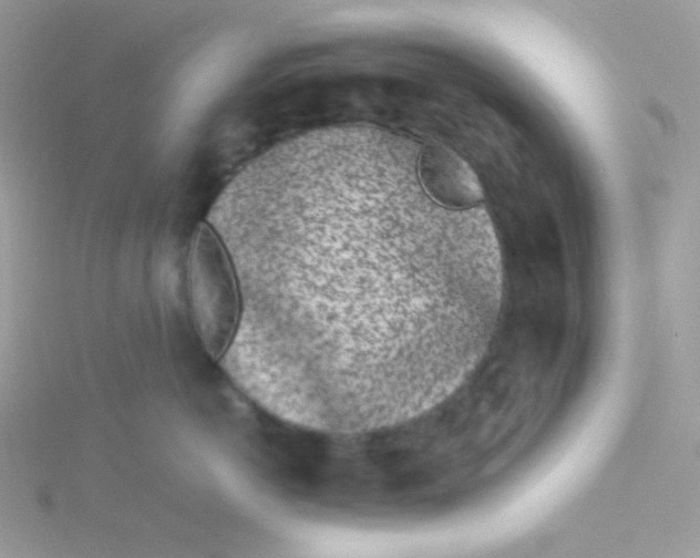 X0000115500766200911271410