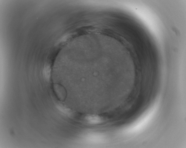 X0000115500767200911271410