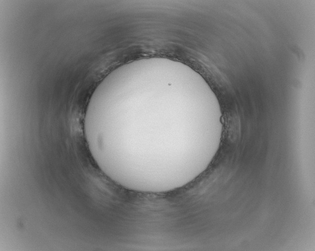 X0000115500770200911271409