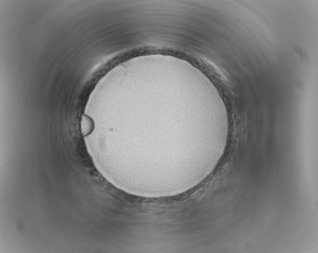 X0000115500776200911271409