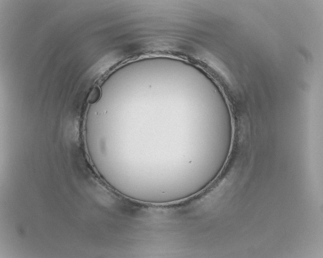 X0000115500777200911271409