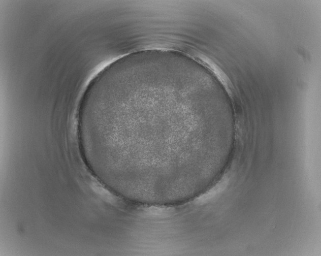 X0000115500779200911271409