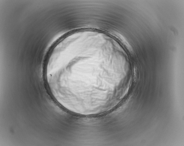 X0000115500780200911271409