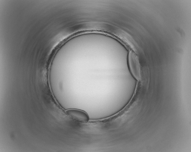 X0000115500781200911271409