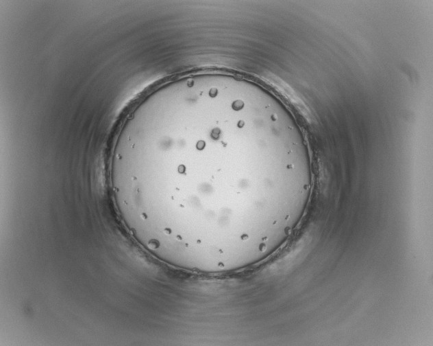 X0000115500782200911271409