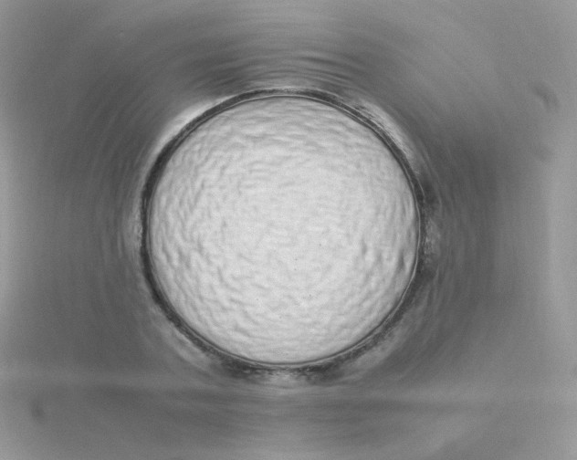 X0000115500787200911271409