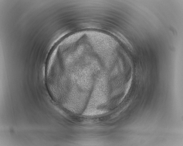 X0000115500790200911271409