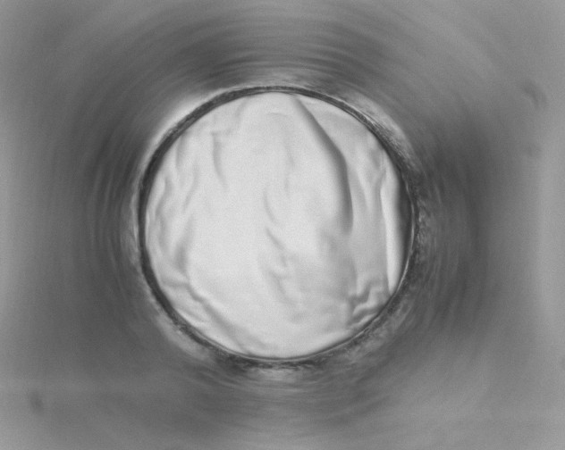 X0000115500792200911271409