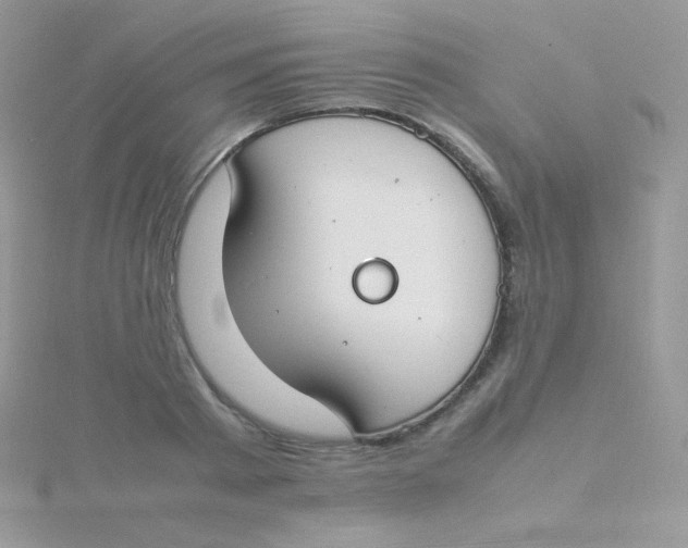 X0000115500793200911271409