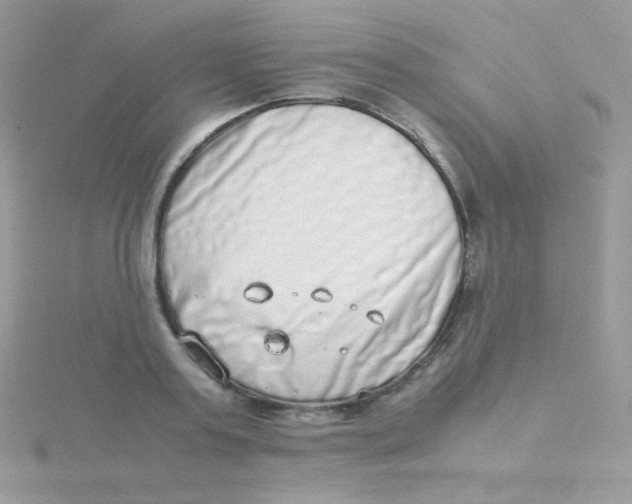 X0000115500795200911271409