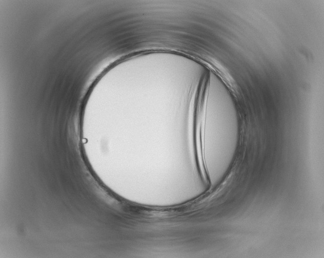 X0000115500796200911271409