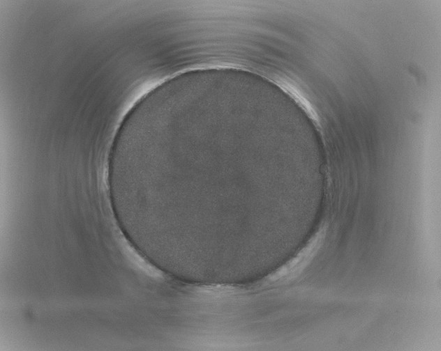 X0000115500797200911271409