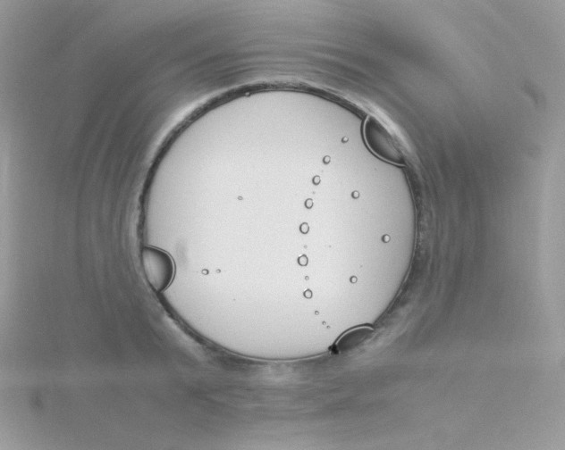 X0000115500799200911271409