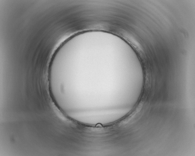 X0000115500800200911271409