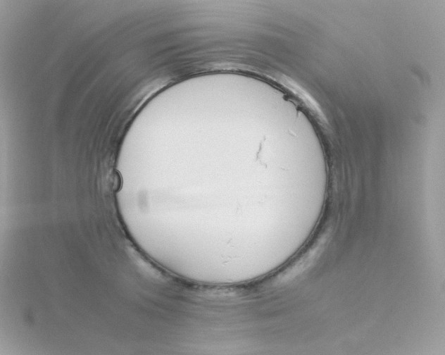 X0000115500801200911271409