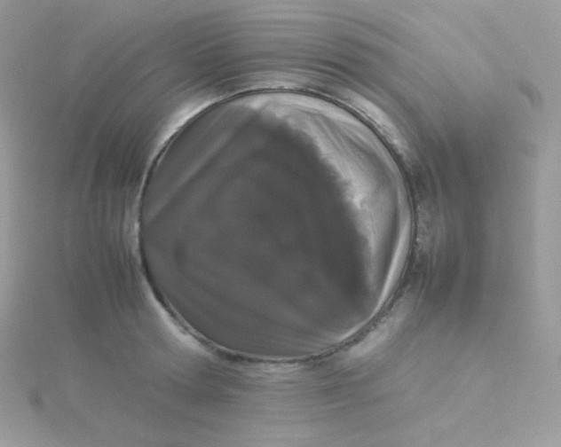 X0000115500802200911271409