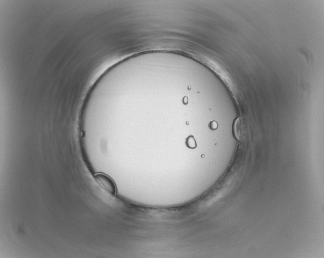 X0000115500803200911271409