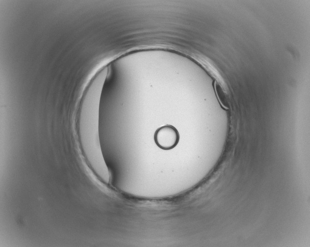 X0000115500805200911271409