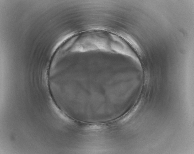 X0000115500806200911271409