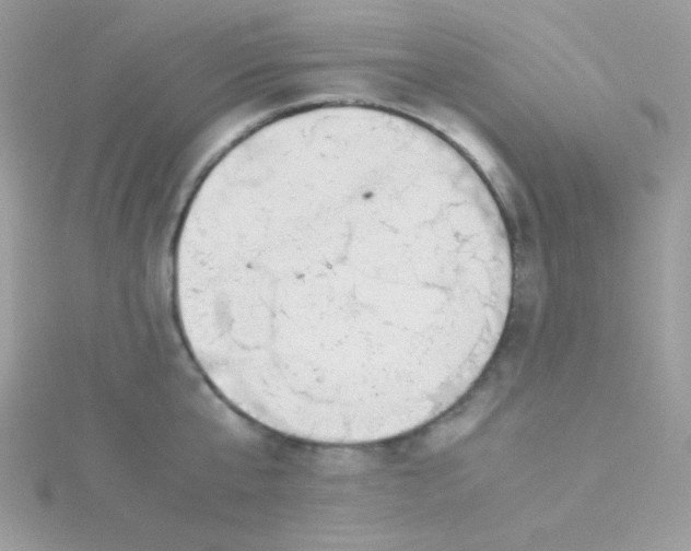 X0000115500807200911271408