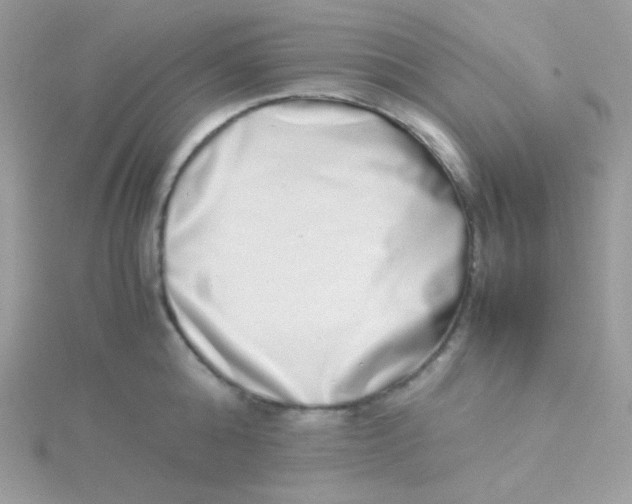 X0000115500808200911271408